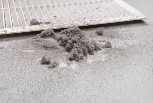 Best HVAC System Cleaning  in Lakeview, CA