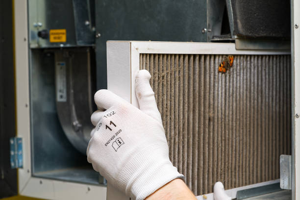 Best Dryer Vent Cleaning Services  in Lakeview, CA